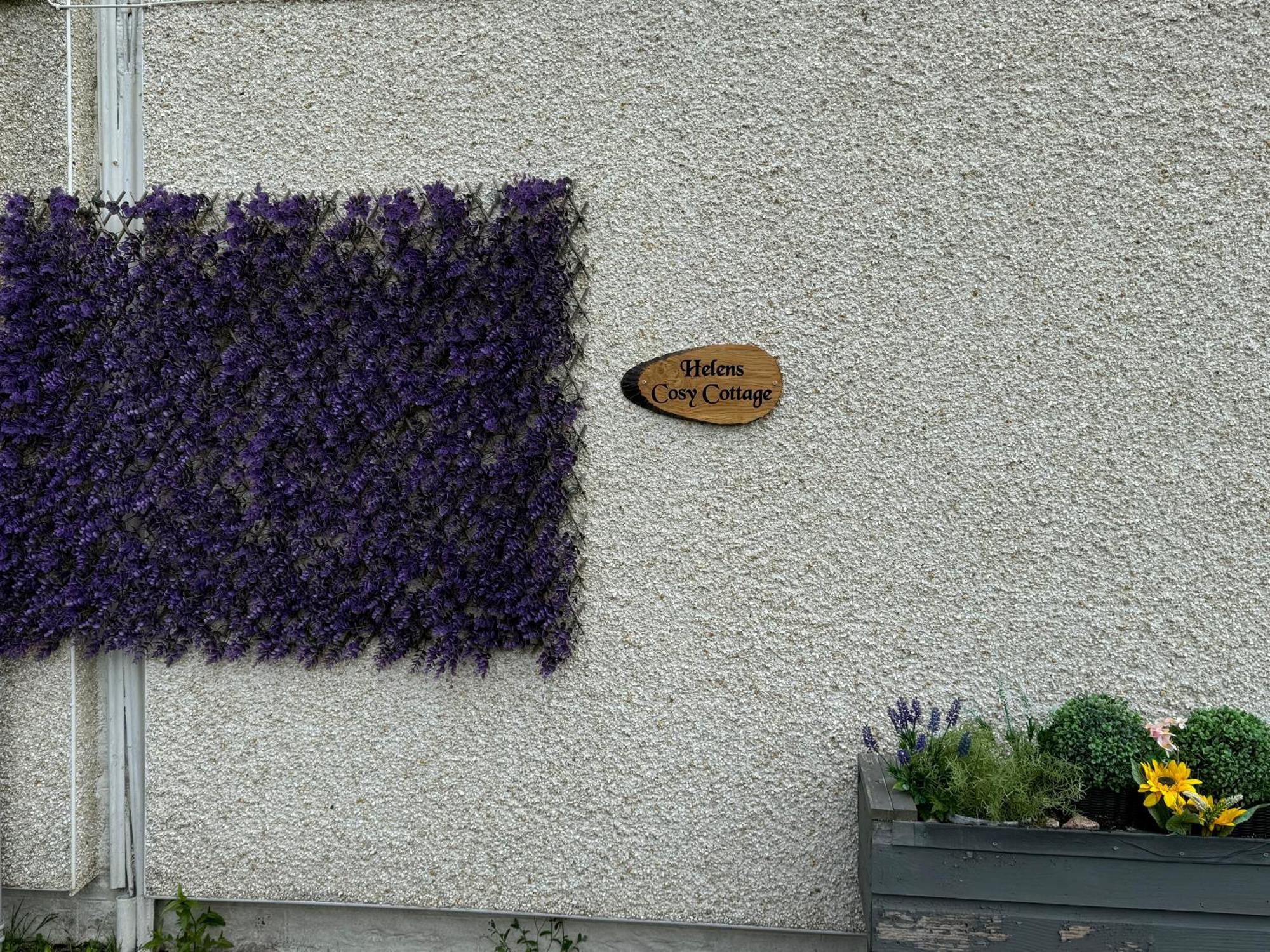 Helens Lybster Cosy Cottage On Nc500 Exteriér fotografie